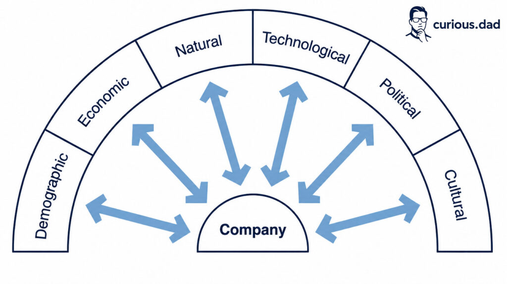 Diagram by Jason Ho on curious.dad illustrating the marketing macroenvironment, showing six external forces, demographic, economic, natural, technological, political, and cultural, all influencing a company at the centre