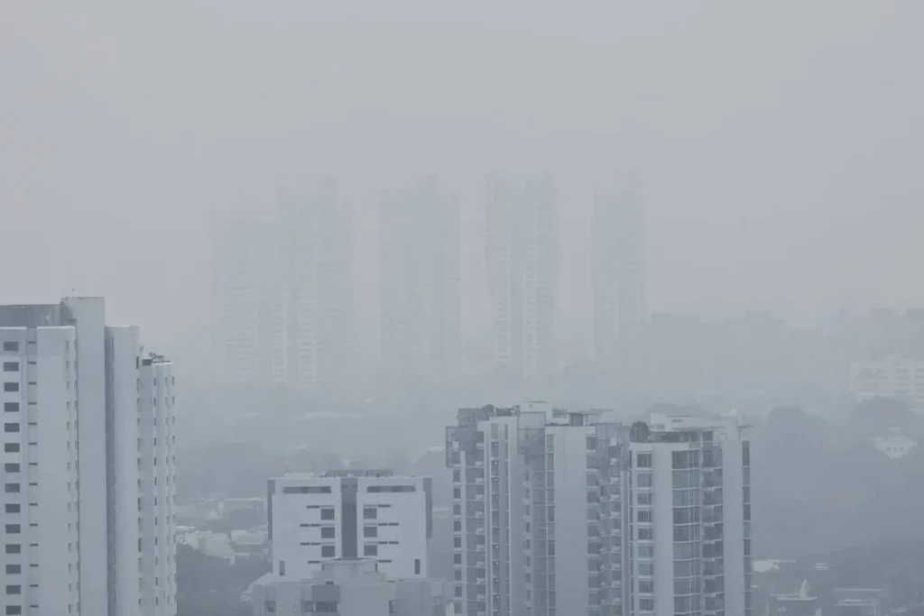 High-rise apartment blocks fading into thick grey haze, a reminder to check claims about oxygen from forests